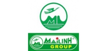 Mai Linh group