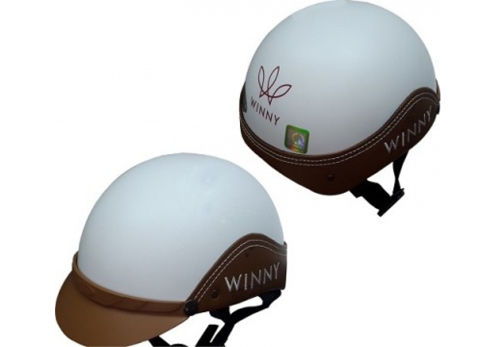 Thương hiệu Winny